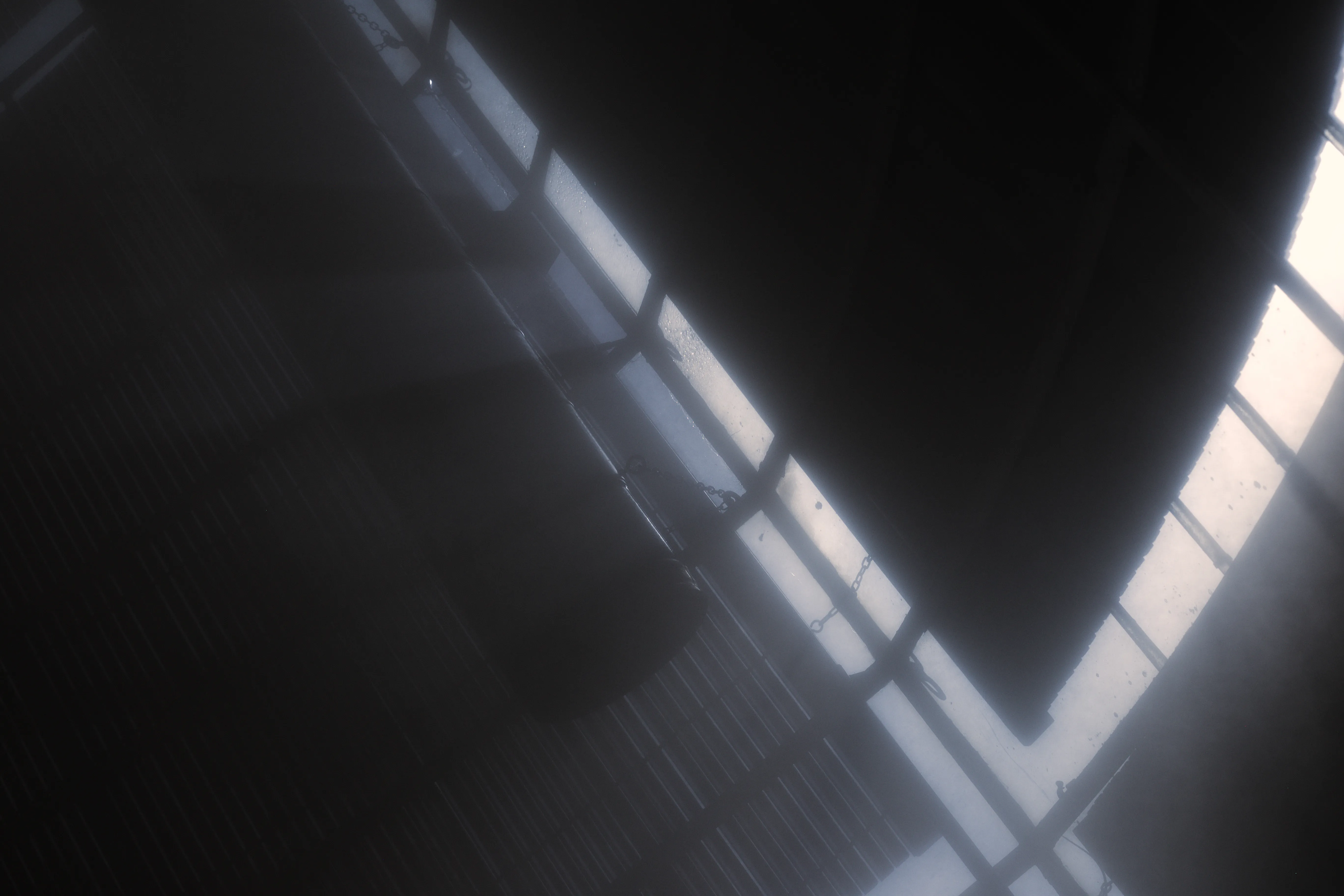 Misty Greenhouse