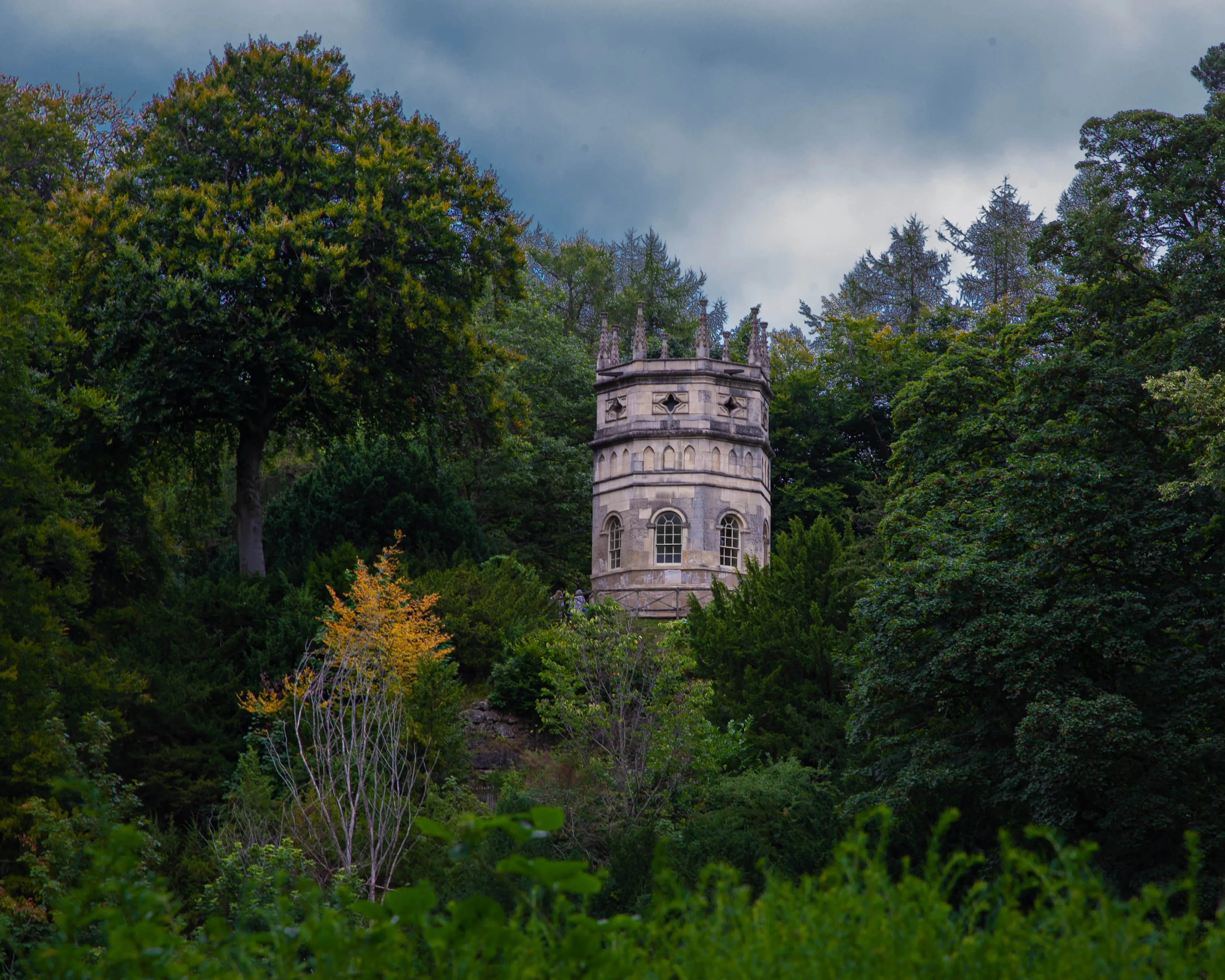Canopy Castle